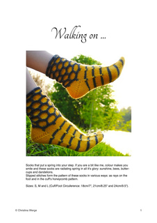 Wonsocksen_small2