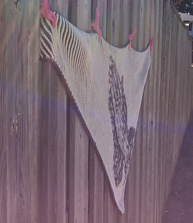 Image_small2