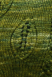 Lg-sp-leaf_small2