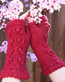 Apple_a_day_hand_mitts_0062_small2