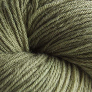 041110capple_small2