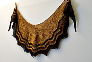 Whippoorwill_1_small2