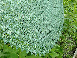 Asternyx_blocked26_medium_small2