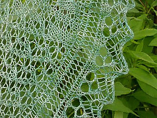 Asternyx_blocked30_medium_small2