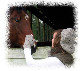 Cover2a_small2