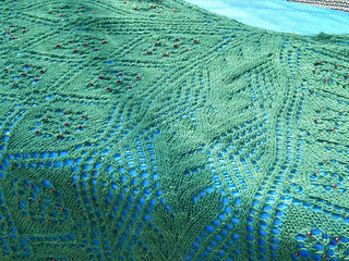 Dscn0978_small2