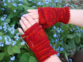 Stricken_anja_842_small2