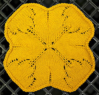 Clover_dish_wash_cloth_dsc7210_small2
