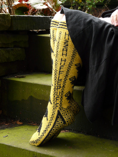 House_pride_socks_039_small2