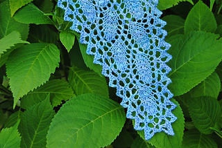 Dsc_0022_small2