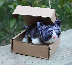 Maru12_small