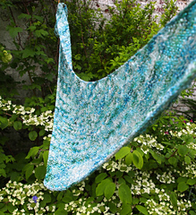 Dappled_5_small