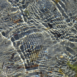 Tide_pool_2_medium_small2