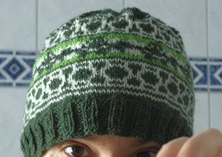 Turtle_beanie2_small2