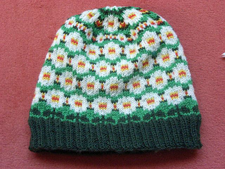 Daisy_cap1_small2