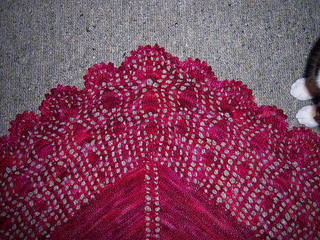 Cleome_shawl_2_small2
