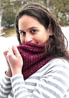 Hudsoncowl4_small2