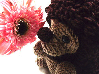 Side2_small2