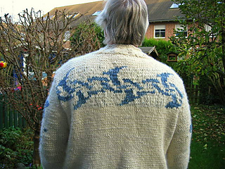 Moon_and_stars_jacket_2_small2