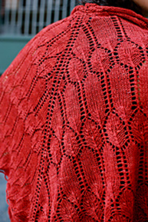 Verb_shawl_2_small2