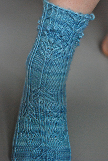 Dsc_0012_small2