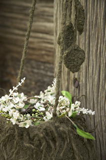 Img_0650_small2