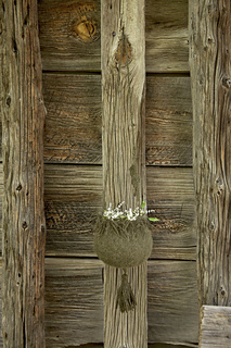 Img_0701_small2