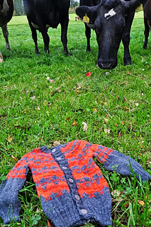 Dsc_0198_small2