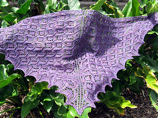 Camelotshawl1_small2