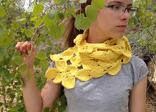 Pando_wrapped_small2