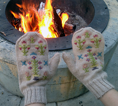 Mittens_by_fire_small