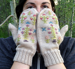 Anie_face_flat_mittens_small