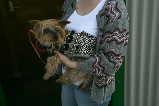 Toby6_small2