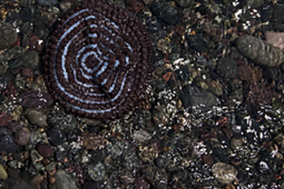 Castaway_1_small2