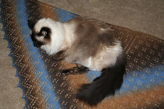 Lucy060810_small2