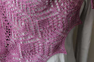 Antimacassarcloseup041111_small2