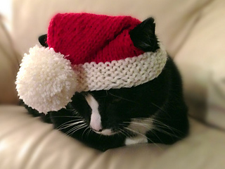 Santa-claws-5_small2