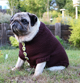 Ravelry: Pug Dog Sweater pattern by Angelcatkins (Elizabeth Watkins) Designs