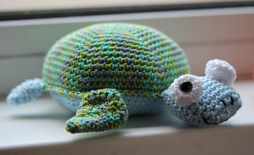 Turtle_medium