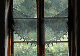 Starling_starlet_in_window_small2