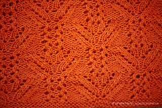 Knitting-june08-2014_mg_9267_scaled_watermarked_small2