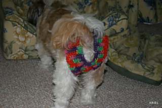Img_8032_small2