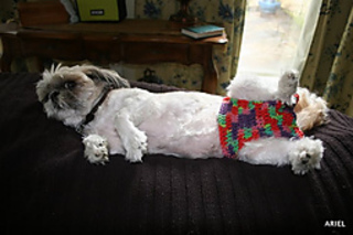 Img_8172_small2