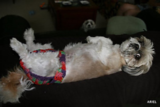 Img_8173_small2