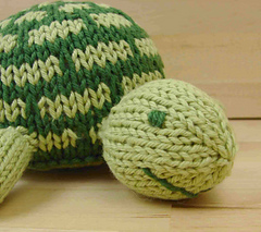 Turtle_2_edited-1_small