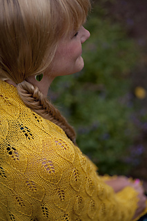 Betula3_web_small2