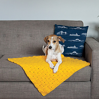 Ravelry: Comfort Crochet Pet Blanket pattern by Stacey Winklepleck
