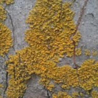10-0deb9d1b-1192948-800_small2
