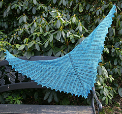 Lion_s_lace_shawl_3_4_small