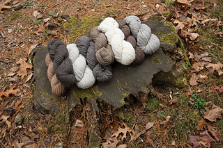 9232-18_small2